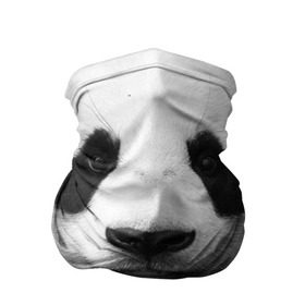 Бандана-труба 3D с принтом Панда в Екатеринбурге, 100% полиэстер, ткань с особыми свойствами — Activecool | плотность 150‒180 г/м2; хорошо тянется, но сохраняет форму | панда
