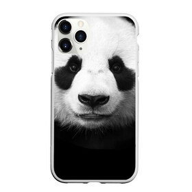 Чехол для iPhone 11 Pro матовый с принтом Панда в Екатеринбурге, Силикон |  | панда