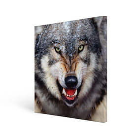 Холст квадратный с принтом Волк в Екатеринбурге, 100% ПВХ |  | волк | животные | злой волк | зубы | оскал