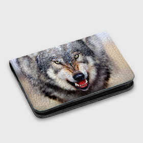 Картхолдер с принтом с принтом Волк в Екатеринбурге, натуральная матовая кожа | размер 7,3 х 10 см; кардхолдер имеет 4 кармана для карт; | Тематика изображения на принте: волк | животные | злой волк | зубы | оскал