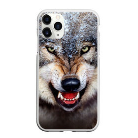 Чехол для iPhone 11 Pro матовый с принтом Волк в Екатеринбурге, Силикон |  | волк | животные | злой волк | зубы | оскал