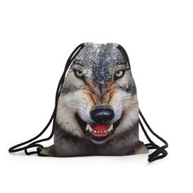 Рюкзак-мешок 3D с принтом Волк в Екатеринбурге, 100% полиэстер | плотность ткани — 200 г/м2, размер — 35 х 45 см; лямки — толстые шнурки, застежка на шнуровке, без карманов и подкладки | волк | животные | злой волк | зубы | оскал