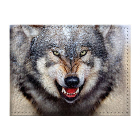 Обложка для студенческого билета с принтом Волк в Екатеринбурге, натуральная кожа | Размер: 11*8 см; Печать на всей внешней стороне | волк | животные | злой волк | зубы | оскал