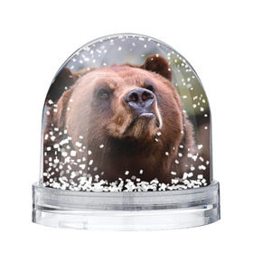 Водяной шар с принтом Медведь в Екатеринбурге, Пластик | Изображение внутри шара печатается на глянцевой фотобумаге с двух сторон | бурый | гризли | животные | медведь | мишка