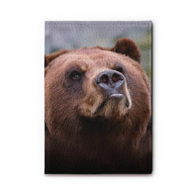 Обложка для автодокументов с принтом Медведь в Екатеринбурге, натуральная кожа |  размер 19,9*13 см; внутри 4 больших “конверта” для документов и один маленький отдел — туда идеально встанут права | бурый | гризли | животные | медведь | мишка