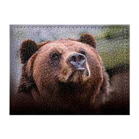 Обложка для студенческого билета с принтом Медведь в Екатеринбурге, натуральная кожа | Размер: 11*8 см; Печать на всей внешней стороне | бурый | гризли | животные | медведь | мишка