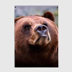 Постер с принтом Медведь в Екатеринбурге, 100% бумага
 | бумага, плотность 150 мг. Матовая, но за счет высокого коэффициента гладкости имеет небольшой блеск и дает на свету блики, но в отличии от глянцевой бумаги не покрыта лаком | бурый | гризли | животные | медведь | мишка