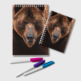 Блокнот с принтом Медведь в Екатеринбурге, 100% бумага | 48 листов, плотность листов — 60 г/м2, плотность картонной обложки — 250 г/м2. Листы скреплены удобной пружинной спиралью. Цвет линий — светло-серый
 | бурый | гризли | животные | медведь | мишка