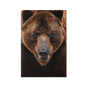 Обложка для паспорта матовая кожа с принтом Медведь в Екатеринбурге, натуральная матовая кожа | размер 19,3 х 13,7 см; прозрачные пластиковые крепления | бурый | гризли | животные | медведь | мишка
