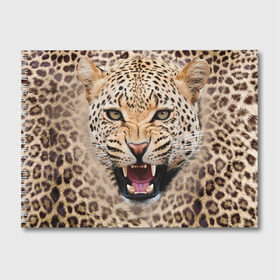 Альбом для рисования с принтом Леопард в Екатеринбурге, 100% бумага
 | матовая бумага, плотность 200 мг. | Тематика изображения на принте: животные | зубы | киса | киска | кошка | леопард | оскал