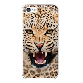 Чехол для iPhone 5/5S матовый с принтом Леопард в Екатеринбурге, Силикон | Область печати: задняя сторона чехла, без боковых панелей | животные | зубы | киса | киска | кошка | леопард | оскал