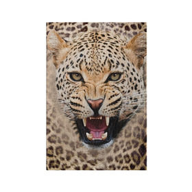 Обложка для паспорта матовая кожа с принтом Леопард в Екатеринбурге, натуральная матовая кожа | размер 19,3 х 13,7 см; прозрачные пластиковые крепления | животные | зубы | киса | киска | кошка | леопард | оскал