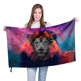 Флаг 3D с принтом Космический лев в Екатеринбурге, 100% полиэстер | плотность ткани — 95 г/м2, размер — 67 х 109 см. Принт наносится с одной стороны | hipster | leon | style | космос | лев | хипстер | хипстеры