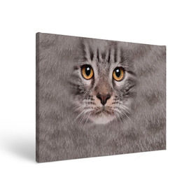 Холст прямоугольный с принтом Котик в Екатеринбурге, 100% ПВХ |  | Тематика изображения на принте: животное | киса | кот | котик | кошка