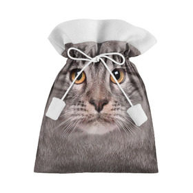 Подарочный 3D мешок с принтом Котик в Екатеринбурге, 100% полиэстер | Размер: 29*39 см | животное | киса | кот | котик | кошка