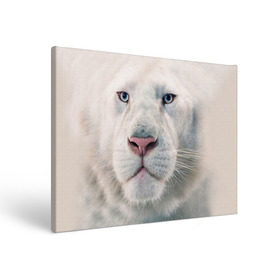 Холст прямоугольный с принтом Белый лев в Екатеринбурге, 100% ПВХ |  | белый лев | животные | лев