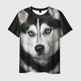 Мужская футболка 3D с принтом Хаски в Екатеринбурге, 100% полиэфир | прямой крой, круглый вырез горловины, длина до линии бедер | животные | собака | хаски