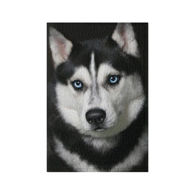 Обложка для паспорта матовая кожа с принтом Хаски в Екатеринбурге, натуральная матовая кожа | размер 19,3 х 13,7 см; прозрачные пластиковые крепления | животные | собака | хаски