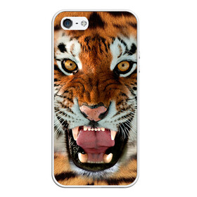 Чехол для iPhone 5/5S матовый с принтом Тигр в Екатеринбурге, Силикон | Область печати: задняя сторона чехла, без боковых панелей | животные | зубы | кошка | тигр