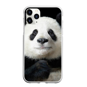 Чехол для iPhone 11 Pro матовый с принтом Панда в Екатеринбурге, Силикон |  | панда