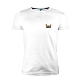 Мужская футболка премиум с принтом Кот в кармашке в Екатеринбурге, 92% хлопок, 8% лайкра | приталенный силуэт, круглый вырез ворота, длина до линии бедра, короткий рукав | Тематика изображения на принте: в кармане | киса | кот | коты | кошки | подглядывающий