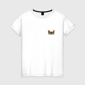 Женская футболка хлопок с принтом Кот в кармашке в Екатеринбурге, 100% хлопок | прямой крой, круглый вырез горловины, длина до линии бедер, слегка спущенное плечо | в кармане | киса | кот | коты | кошки | подглядывающий