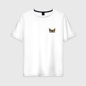 Женская футболка хлопок Oversize с принтом Кот в кармашке в Екатеринбурге, 100% хлопок | свободный крой, круглый ворот, спущенный рукав, длина до линии бедер
 | в кармане | киса | кот | коты | кошки | подглядывающий