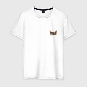 Мужская футболка хлопок с принтом Кот в кармашке в Екатеринбурге, 100% хлопок | прямой крой, круглый вырез горловины, длина до линии бедер, слегка спущенное плечо. | в кармане | киса | кот | коты | кошки | подглядывающий