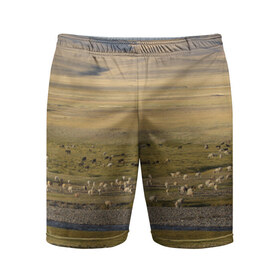 Мужские шорты 3D спортивные с принтом Долина жизни в Екатеринбурге,  |  | алтай | горы | долина | камни | пастбище в горной долинеживотные | пески | пустыни | рек