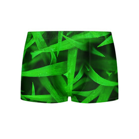 Мужские трусы 3D с принтом Трава в Екатеринбурге, 50% хлопок, 50% полиэстер | классическая посадка, на поясе мягкая тканевая резинка | Тематика изображения на принте: зеленый | макро | яркий