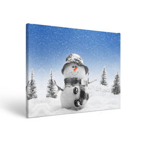Холст прямоугольный с принтом Снеговик в Екатеринбурге, 100% ПВХ |  | Тематика изображения на принте: 2016 | winter | год | зима | мартышка | новогодний | новый | обезьяна | обезьянка | подарок | с новым годом | снег | снеговик