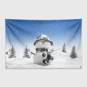 Флаг-баннер с принтом Снеговик в Екатеринбурге, 100% полиэстер | размер 67 х 109 см, плотность ткани — 95 г/м2; по краям флага есть четыре люверса для крепления | 2016 | winter | год | зима | мартышка | новогодний | новый | обезьяна | обезьянка | подарок | с новым годом | снег | снеговик