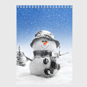 Скетчбук с принтом Снеговик в Екатеринбурге, 100% бумага
 | 48 листов, плотность листов — 100 г/м2, плотность картонной обложки — 250 г/м2. Листы скреплены сверху удобной пружинной спиралью | 2016 | winter | год | зима | мартышка | новогодний | новый | обезьяна | обезьянка | подарок | с новым годом | снег | снеговик