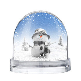 Снежный шар с принтом Снеговик в Екатеринбурге, Пластик | Изображение внутри шара печатается на глянцевой фотобумаге с двух сторон | 2016 | winter | год | зима | мартышка | новогодний | новый | обезьяна | обезьянка | подарок | с новым годом | снег | снеговик