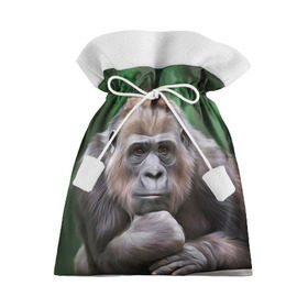 Подарочный 3D мешок с принтом Обезьяна в Екатеринбурге, 100% полиэстер | Размер: 29*39 см | 2016 | мартышка | обезьяна | с новым годом | символ нг