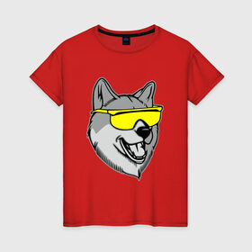 Женская футболка хлопок с принтом Хаски в очках в Екатеринбурге, 100% хлопок | прямой крой, круглый вырез горловины, длина до линии бедер, слегка спущенное плечо | голова | животные | очки | пес | собака | хаски