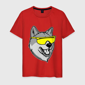 Мужская футболка хлопок с принтом Хаски в очках в Екатеринбурге, 100% хлопок | прямой крой, круглый вырез горловины, длина до линии бедер, слегка спущенное плечо. | голова | животные | очки | пес | собака | хаски