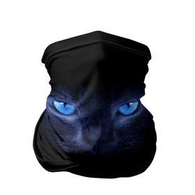 Бандана-труба 3D с принтом Кошка с голубыми глазами в Екатеринбурге, 100% полиэстер, ткань с особыми свойствами — Activecool | плотность 150‒180 г/м2; хорошо тянется, но сохраняет форму | глаза | кот | синий
