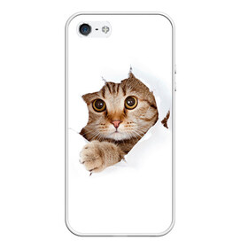 Чехол для iPhone 5/5S матовый с принтом Котик в Екатеринбурге, Силикон | Область печати: задняя сторона чехла, без боковых панелей | Тематика изображения на принте: кот | котенок | котик | кошка | милый