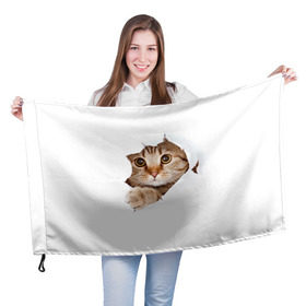 Флаг 3D с принтом Котик в Екатеринбурге, 100% полиэстер | плотность ткани — 95 г/м2, размер — 67 х 109 см. Принт наносится с одной стороны | кот | котенок | котик | кошка | милый