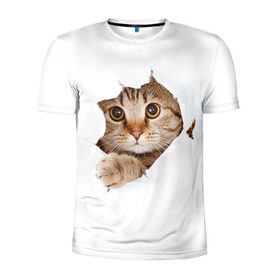Мужская футболка 3D спортивная с принтом Котик в Екатеринбурге, 100% полиэстер с улучшенными характеристиками | приталенный силуэт, круглая горловина, широкие плечи, сужается к линии бедра | кот | котенок | котик | кошка | милый