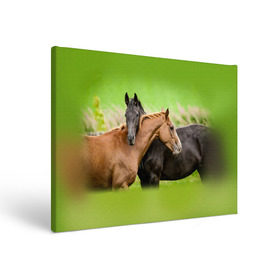 Холст прямоугольный с принтом Лошади 2 в Екатеринбурге, 100% ПВХ |  | horse | horseshoe | акварель | головалошади | грива | единорог | жеребец | животные | конь | лошадь | лошадьскрыльями | подкова | природа | рисуноккрасками
