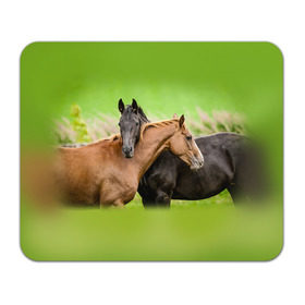 Коврик прямоугольный с принтом Лошади 2 в Екатеринбурге, натуральный каучук | размер 230 х 185 мм; запечатка лицевой стороны | horse | horseshoe | акварель | головалошади | грива | единорог | жеребец | животные | конь | лошадь | лошадьскрыльями | подкова | природа | рисуноккрасками