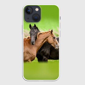 Чехол для iPhone 13 mini с принтом Лошади 2 в Екатеринбурге,  |  | horse | horseshoe | акварель | головалошади | грива | единорог | жеребец | животные | конь | лошадь | лошадьскрыльями | подкова | природа | рисуноккрасками