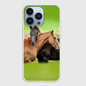 Чехол для iPhone 13 Pro с принтом Лошади 2 в Екатеринбурге,  |  | horse | horseshoe | акварель | головалошади | грива | единорог | жеребец | животные | конь | лошадь | лошадьскрыльями | подкова | природа | рисуноккрасками