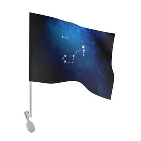 Флаг для автомобиля с принтом Скорпион в Екатеринбурге, 100% полиэстер | Размер: 30*21 см | скорпион