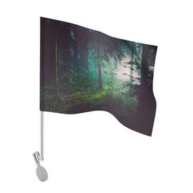 Флаг для автомобиля с принтом Таинственный лес в Екатеринбурге, 100% полиэстер | Размер: 30*21 см | деревья | зелень | на макете изображен таинственный зеленый леслес