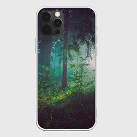 Чехол для iPhone 12 Pro Max с принтом Таинственный лес в Екатеринбурге, Силикон |  | Тематика изображения на принте: деревья | зелень | на макете изображен таинственный зеленый леслес