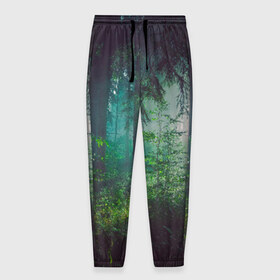 Мужские брюки 3D с принтом Таинственный лес в Екатеринбурге, 100% полиэстер | манжеты по низу, эластичный пояс регулируется шнурком, по бокам два кармана без застежек, внутренняя часть кармана из мелкой сетки | деревья | зелень | на макете изображен таинственный зеленый леслес