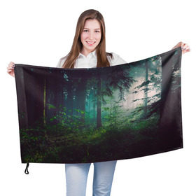 Флаг 3D с принтом Таинственный лес в Екатеринбурге, 100% полиэстер | плотность ткани — 95 г/м2, размер — 67 х 109 см. Принт наносится с одной стороны | деревья | зелень | на макете изображен таинственный зеленый леслес
